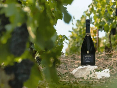 bollinge cuvee vineyard