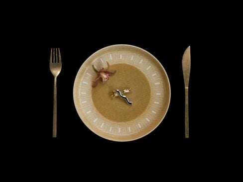 circadian rhythm diet