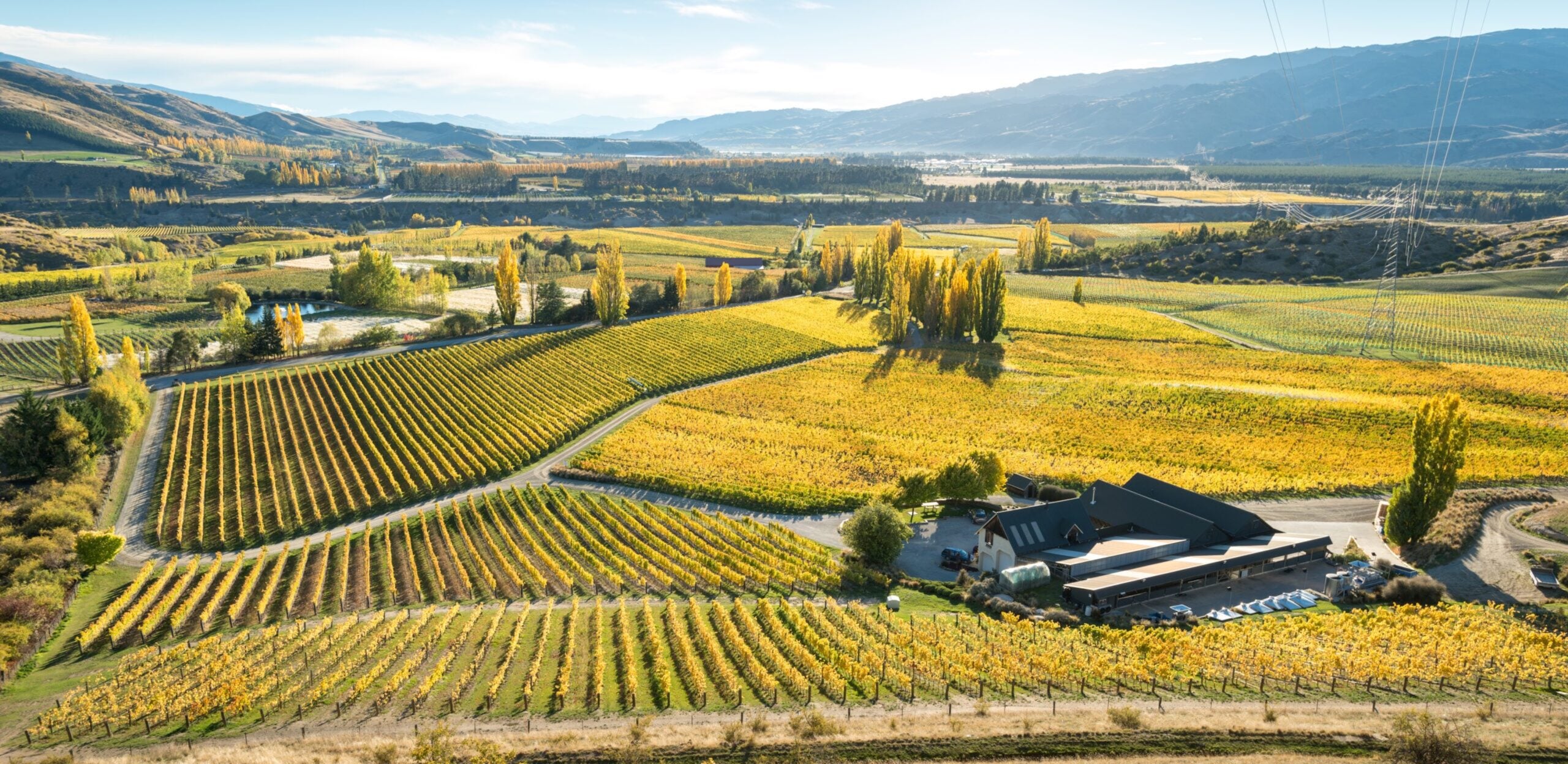 felton road world earth day