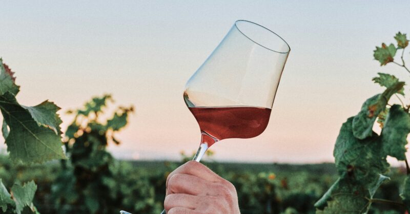 Americans Are Spending More Money on Wine Than Ever