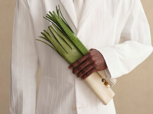 jacquemus leek bag