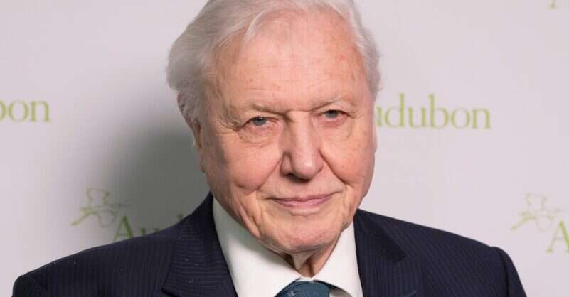David Attenborough at 100: The Hotels and Safaris Shaped by His Legacy