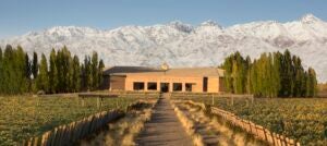 bodegas salentein