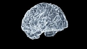 brain health