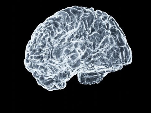 brain health