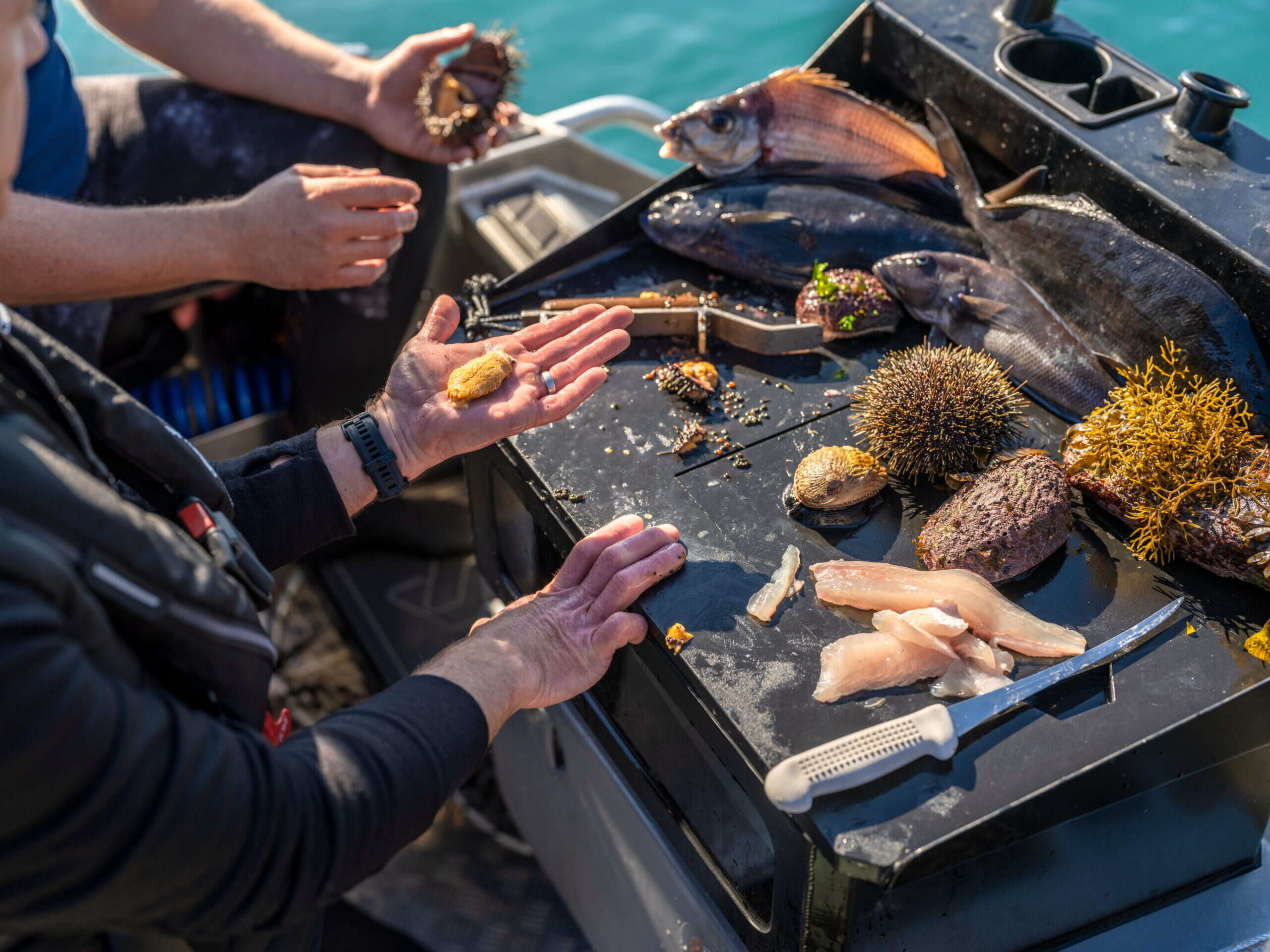 michelin guide new zealand fish being caught