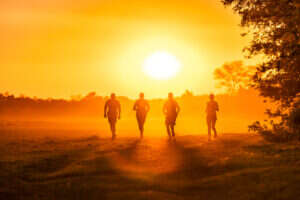 Desert & Delta Safaris