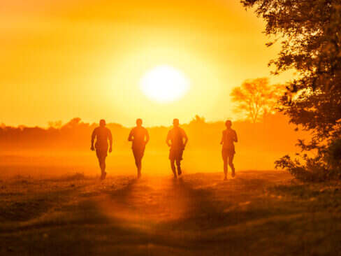 Desert & Delta Safaris