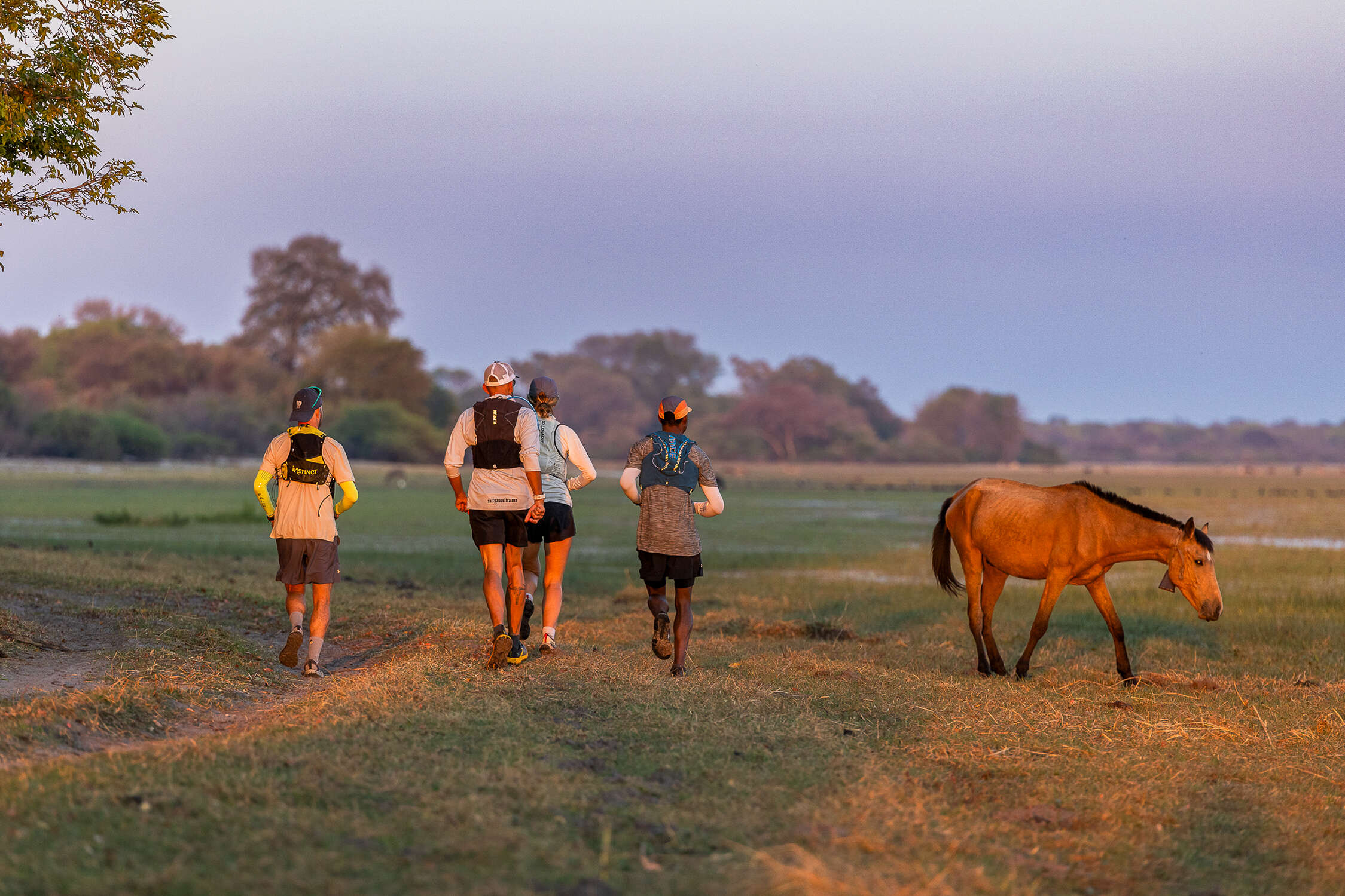 Desert & Delta Safaris 