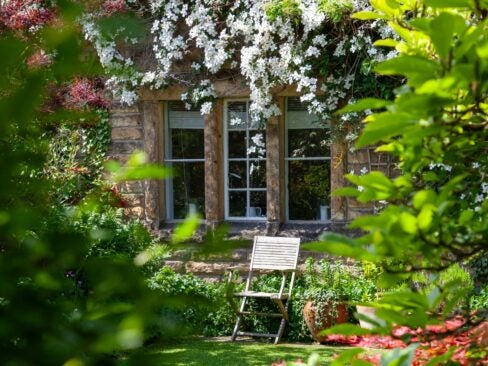 English garden in summer ; how to care for garden in heatwave