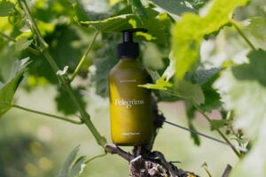 pelegrims skincare