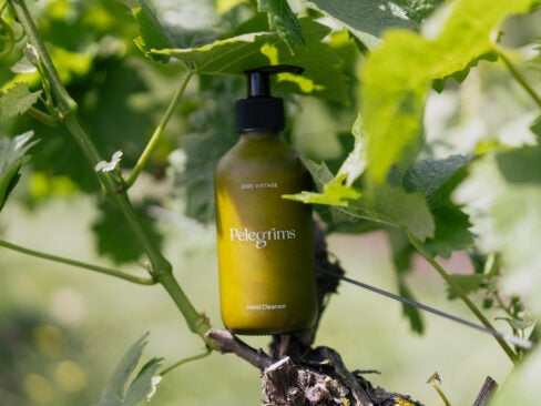 pelegrims skincare