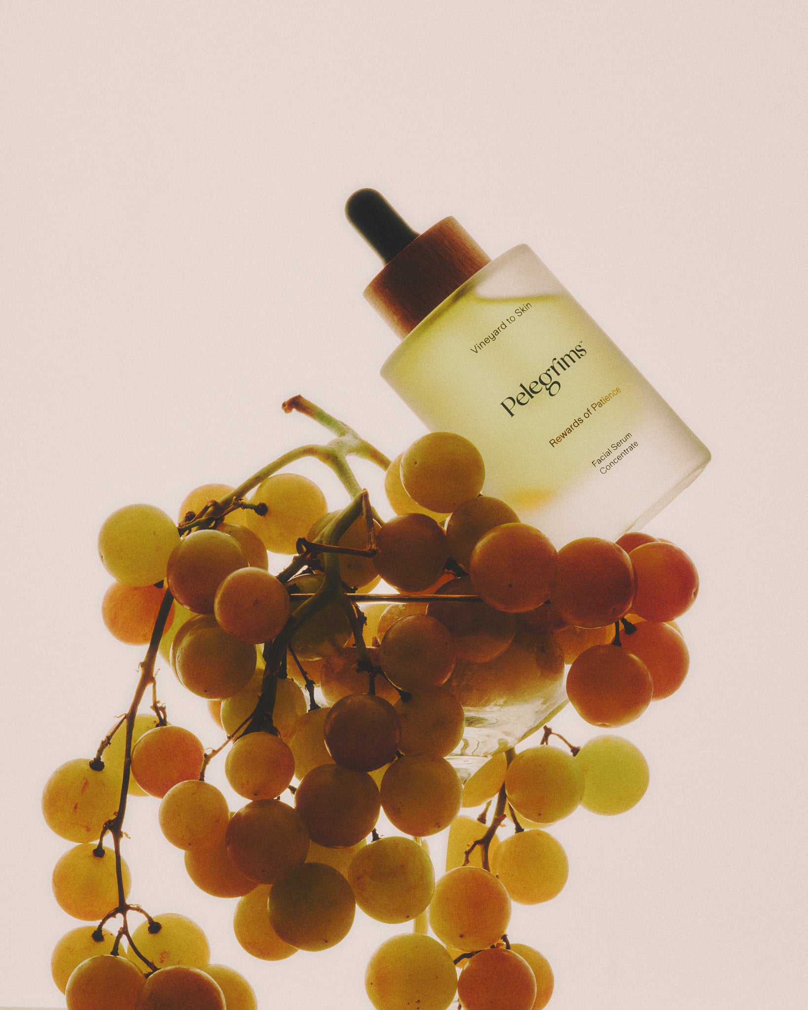 pelegrims skincare