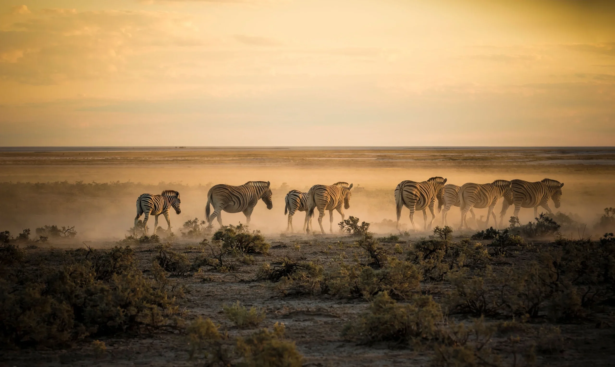 Namibia Etosha National Park