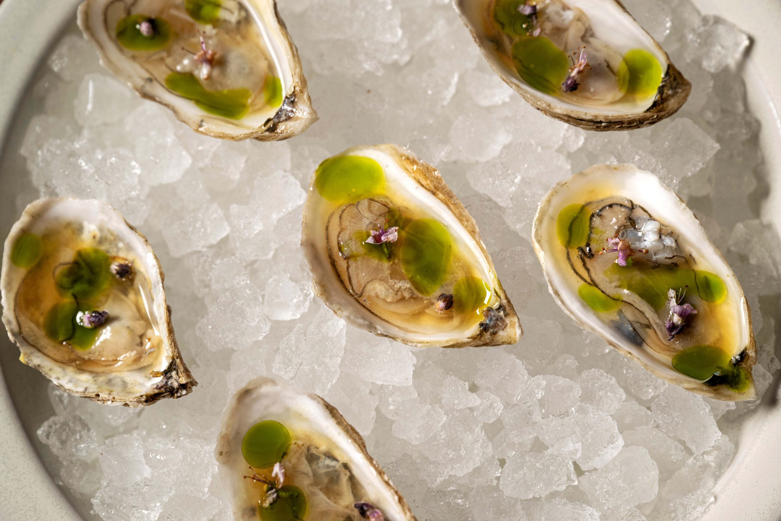Chilled oysters with smoked tomato and bail mignotte at Oriana, New York ; best oyster combinations