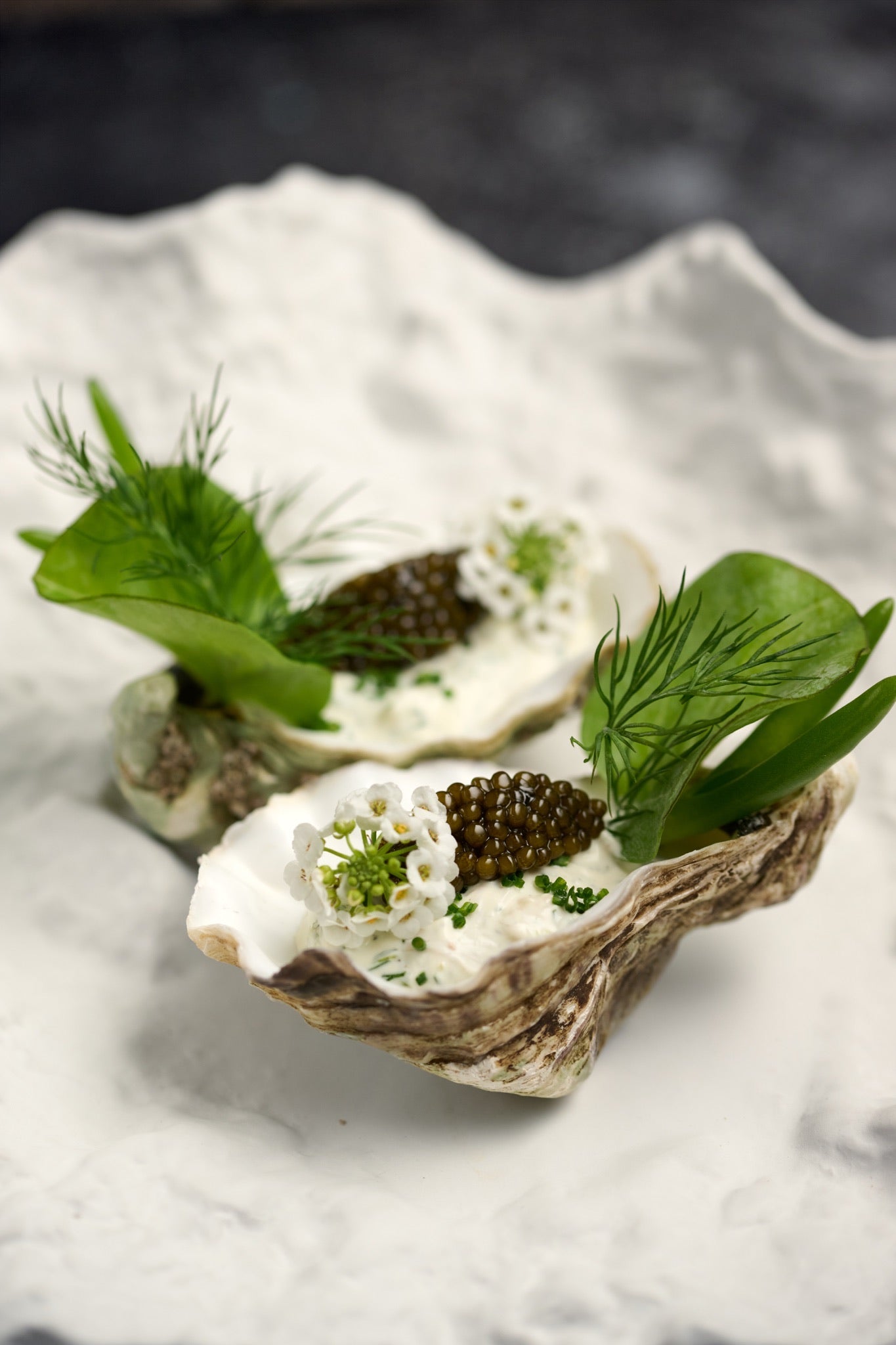 Oysters with sour cream, caviar, dill and seaweed waffled at Sanctus and Hidden Garden ; best oyster combinationa